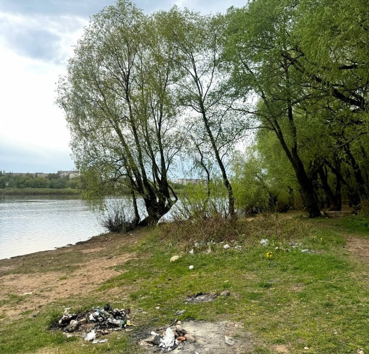 Жителям Великого Новгорода предлагают провести выходные с пользой для природы