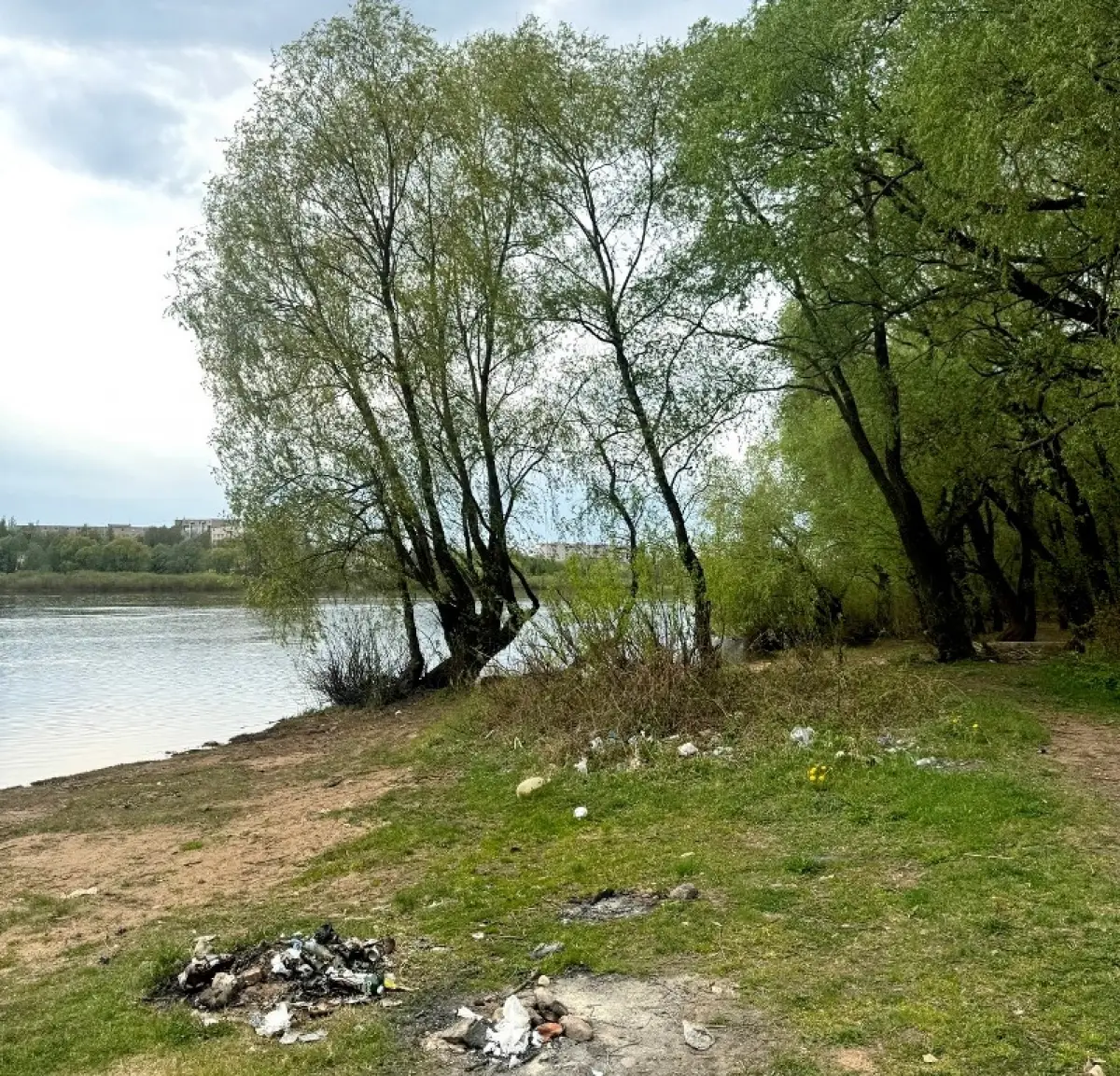 Жителям Великого Новгорода предлагают провести выходные с пользой для природы