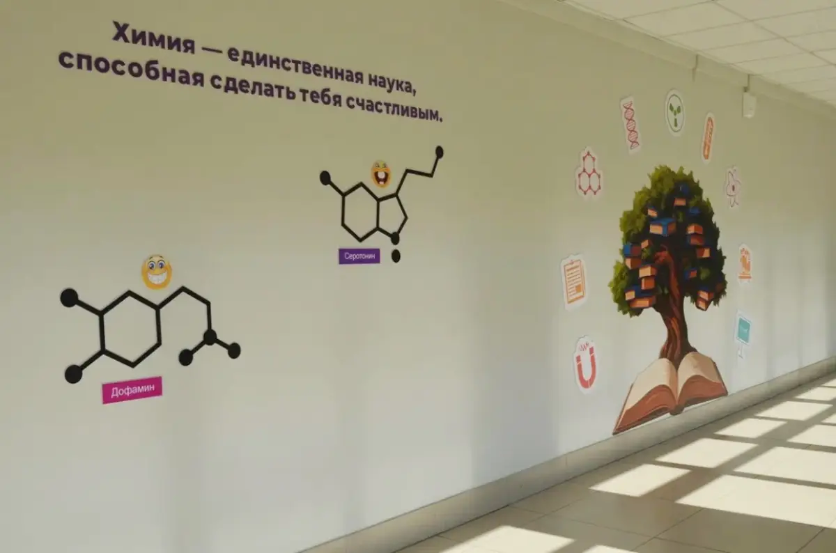 Новгородские школьники всё чаще выбирают для сдачи ОГЭ естественно-научные предметы