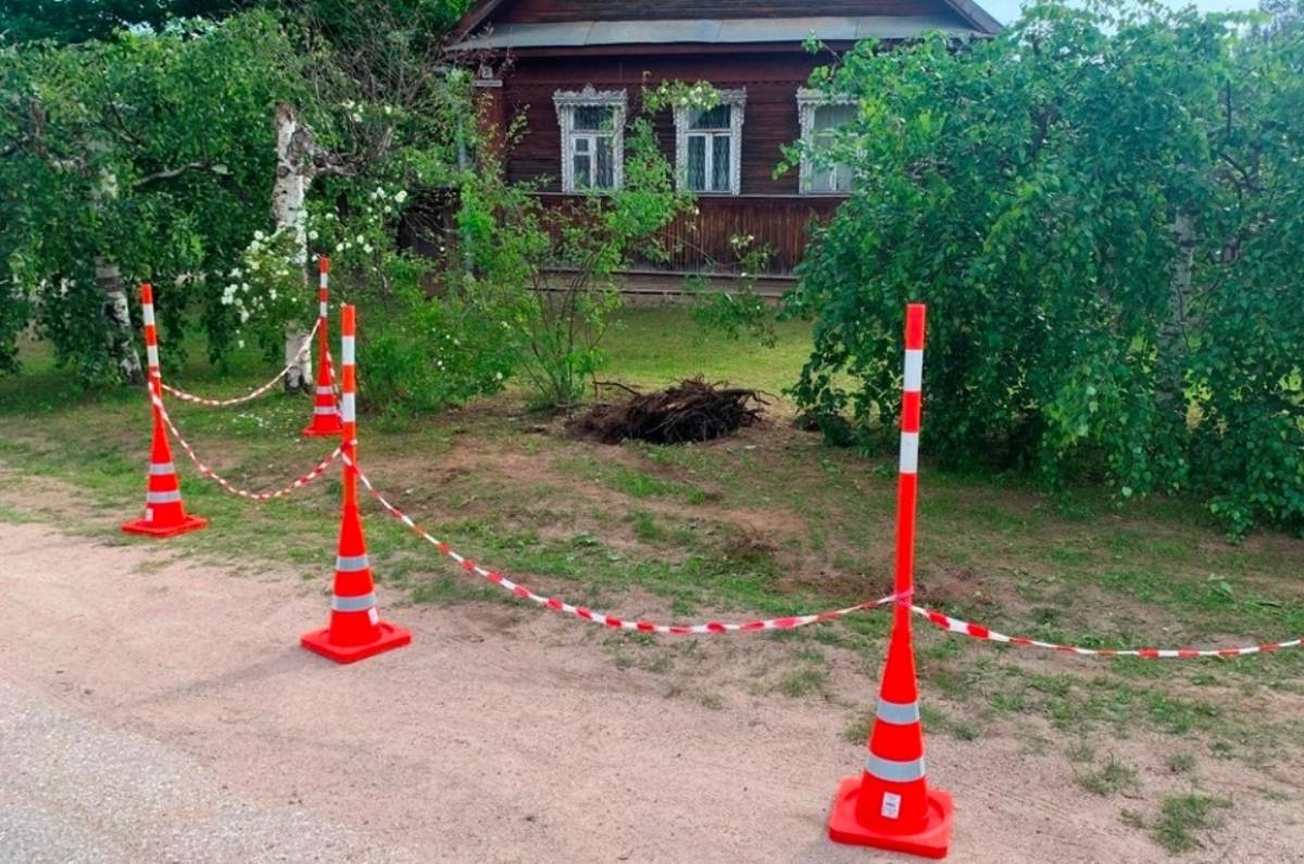 Фото Госавтоинспекции Новгородской области