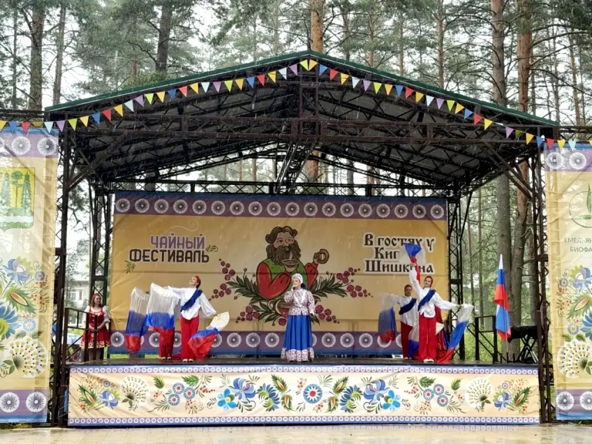 В Хвойной состоялся душевный чайный фестиваль «В гостях у кипрея Шишкина»