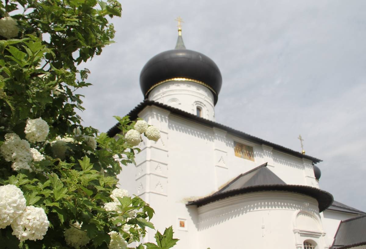 В Старую Руссу отправится «культурный десант» Новгородского музея-заповедника