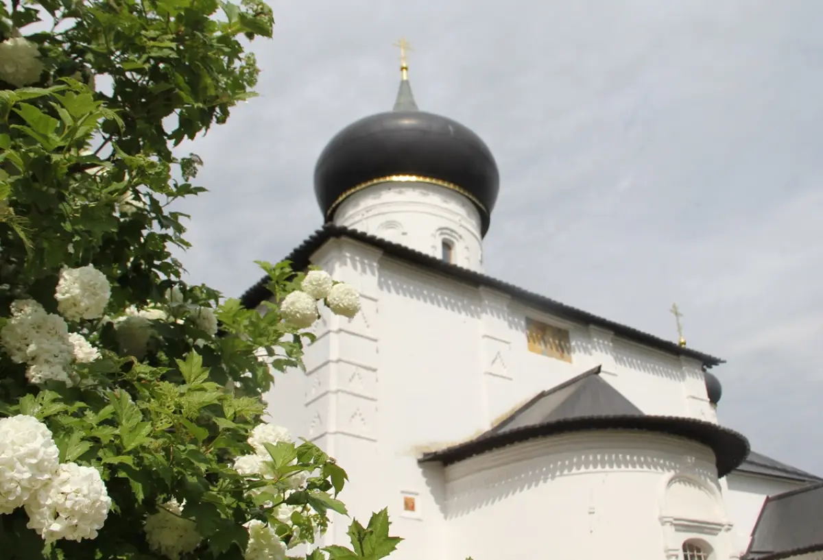 В Старую Руссу отправится «культурный десант» Новгородского музея-заповедника