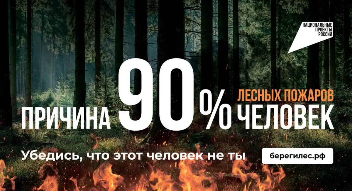 90% лесных пожаров возникают по вине человека