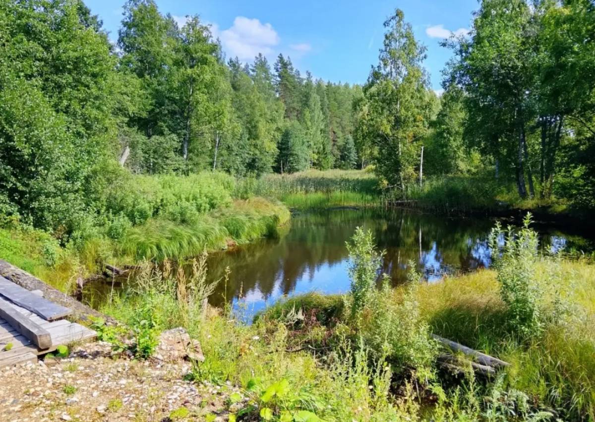 Фото министерства транспорта и дорожного хозяйства Новгородской области