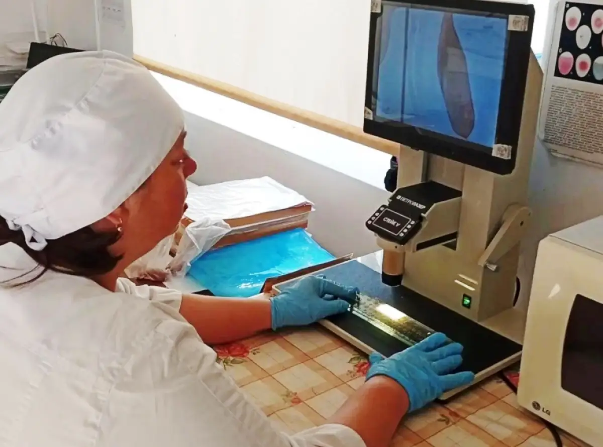 Уже четверть века на окуловском рынке продукцию проверяет эксперт Юлия Романейко
