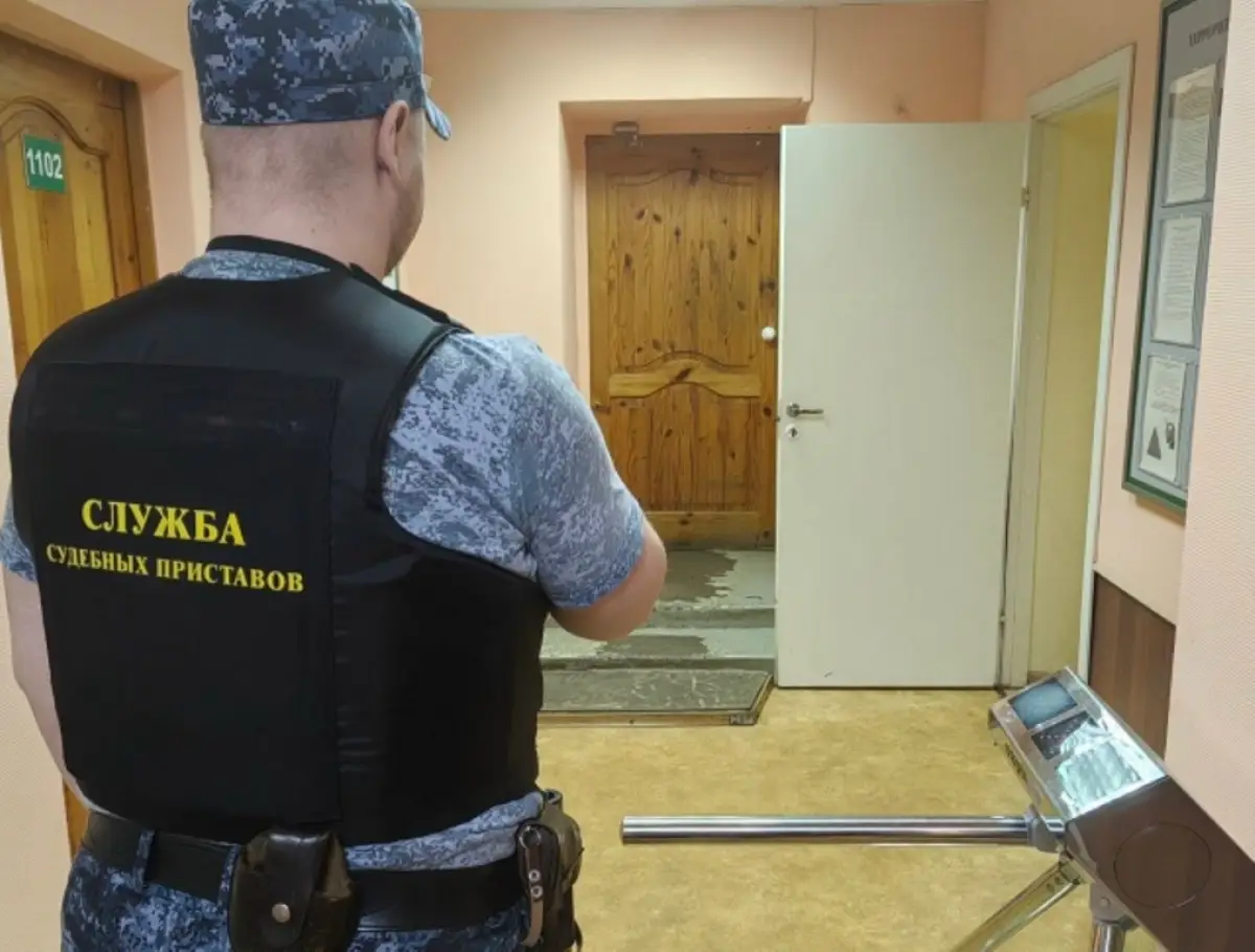 Загадочная новгородка попыталась пронести на приём к приставам «осиновый кол»