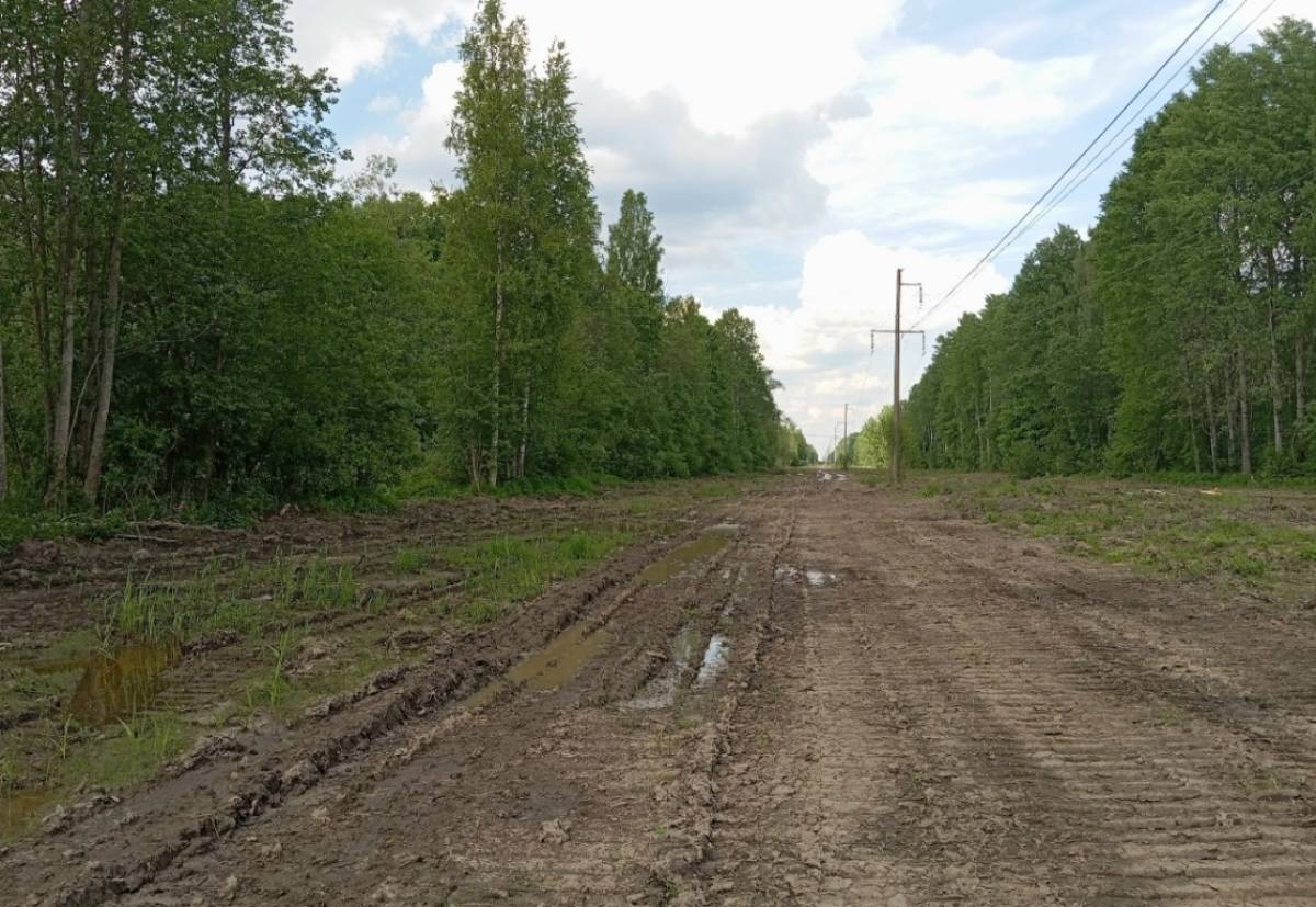 Фото поисковой группы «Неболчи»