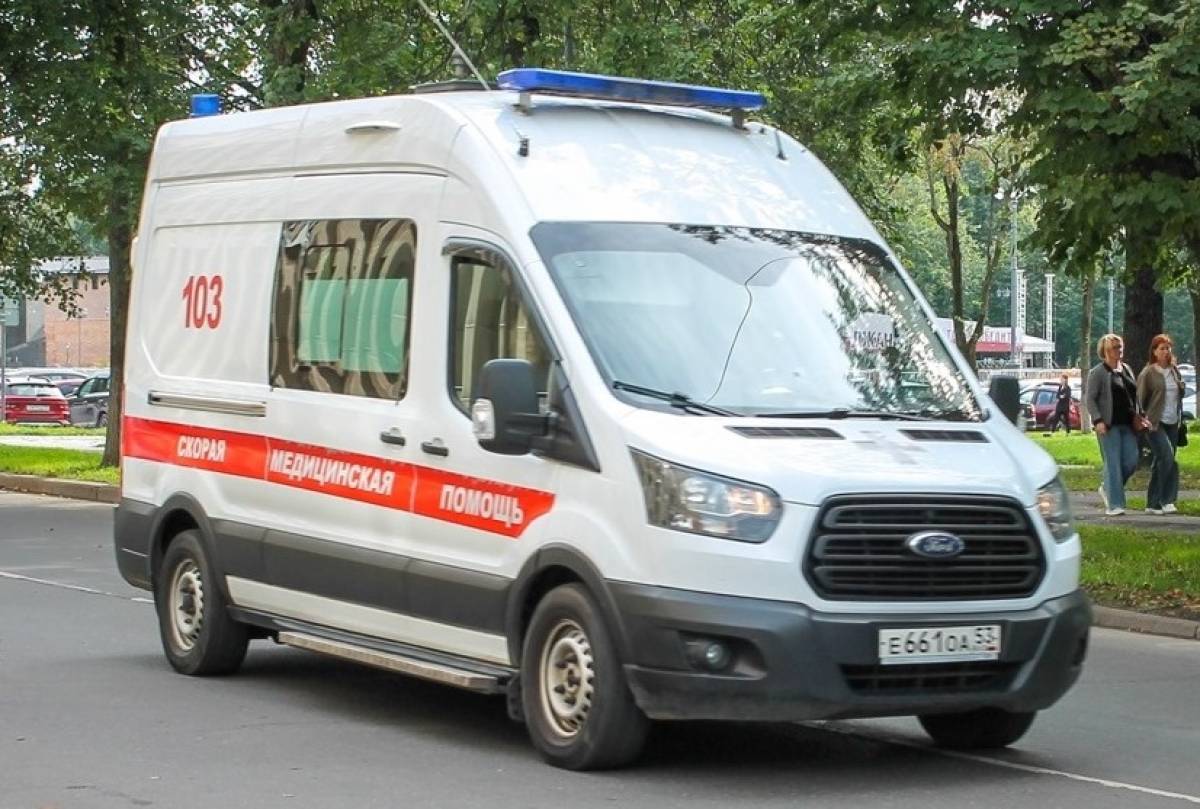Фото из архива минздрава Новгородской области