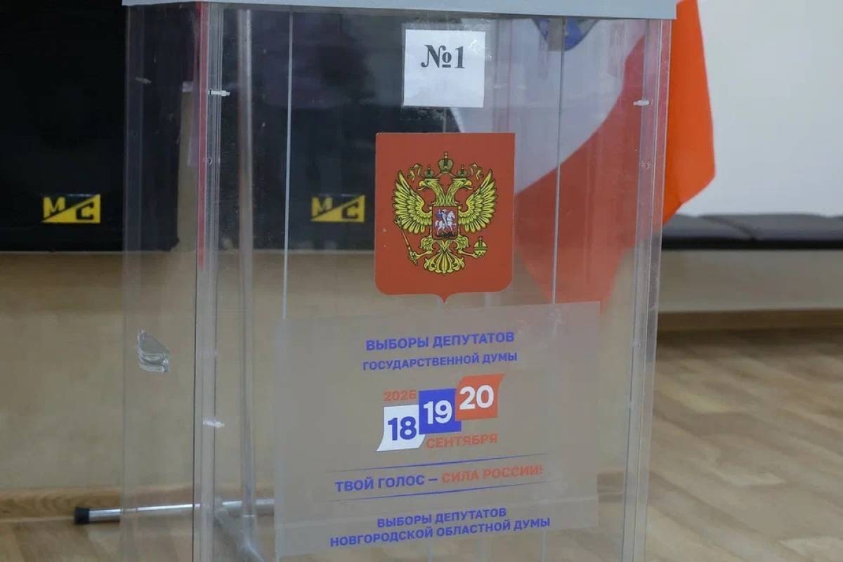 Обработано более 50% протоколов УИК на выборах в Новгородскую областную Думу