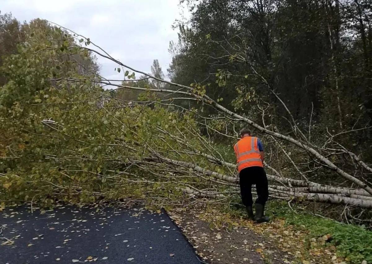 Фотографии минтранса Новгородской области