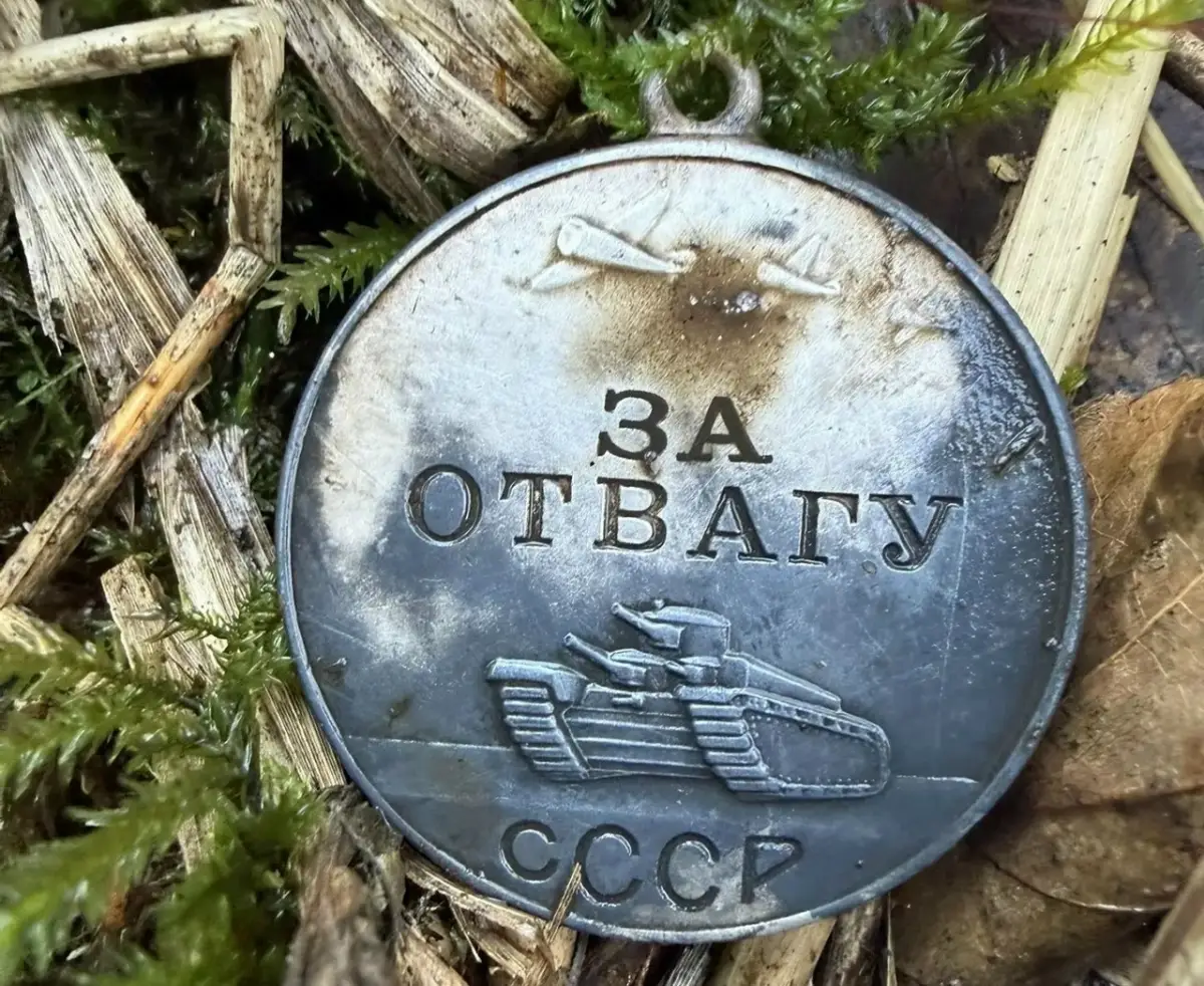 Поисковики из Казани обнаружили на новгородском болоте боевые награды