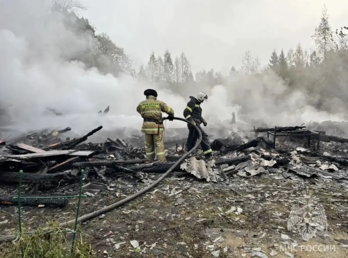 Две женщины погибли на пожаре в деревне Раптица Новгородского округа
