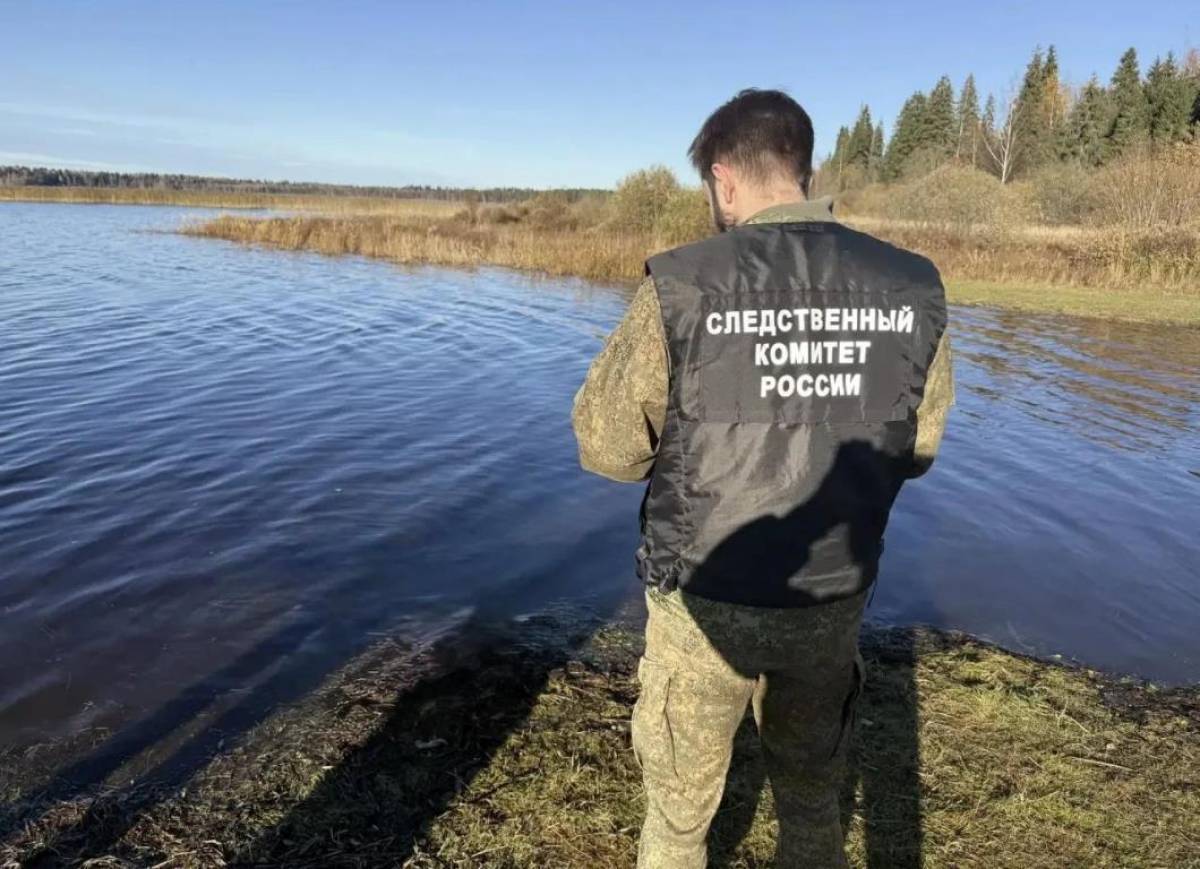 Фото: СУ СК по Новгородской области