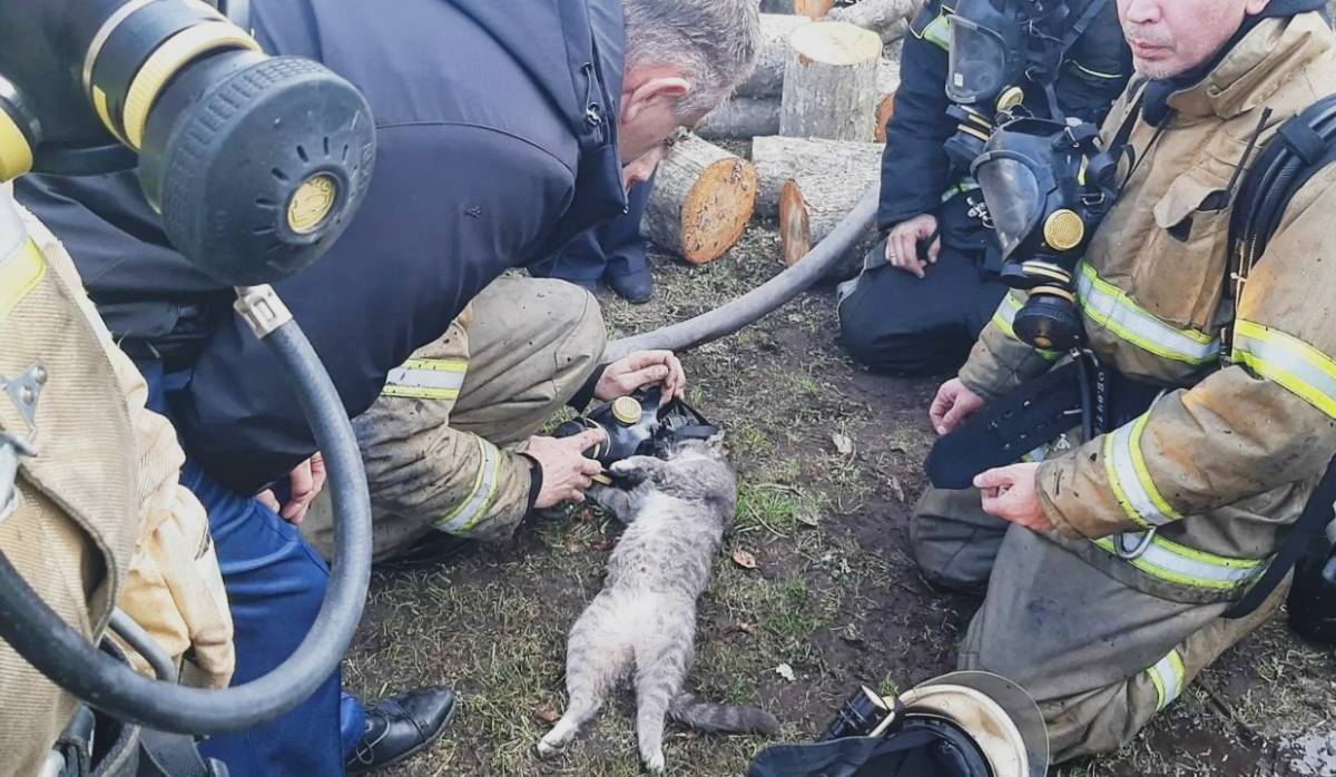Фото: Управление защиты населения Новгородской области