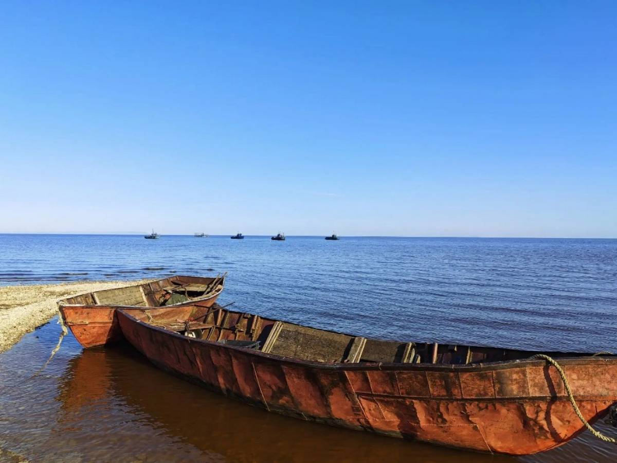 Фотографии предоставлены комитетом охотничьего хозяйства и рыболовства Новгородской области